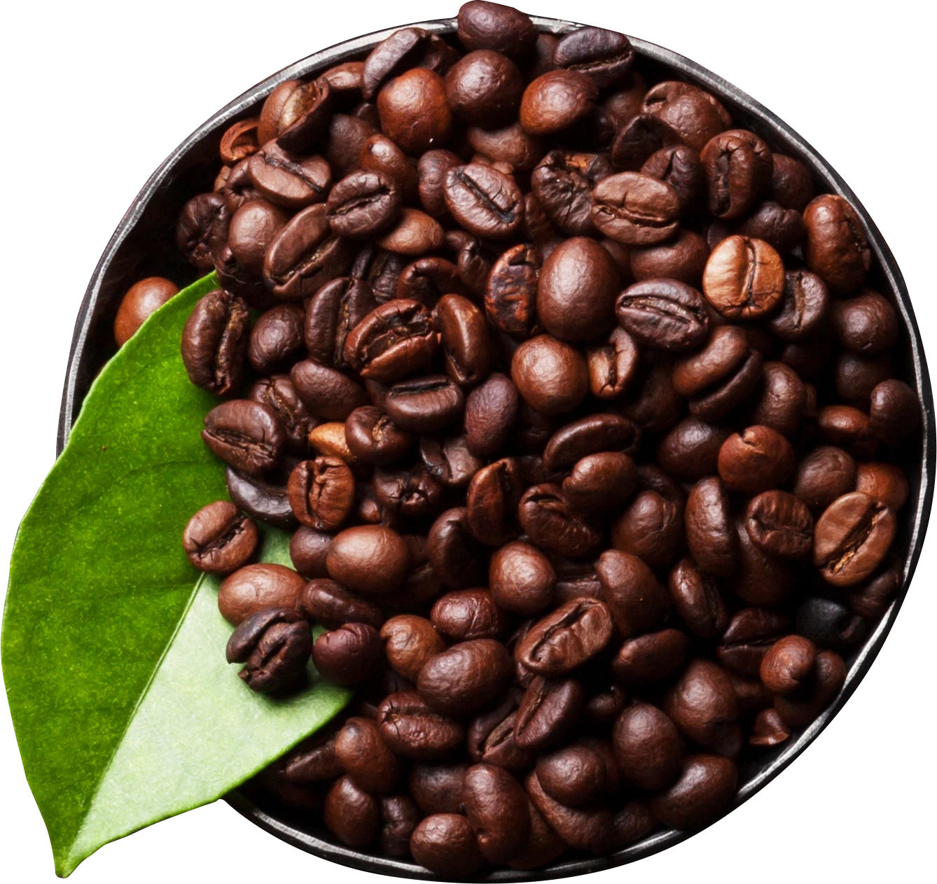 Schirmer Kaffee Tasse