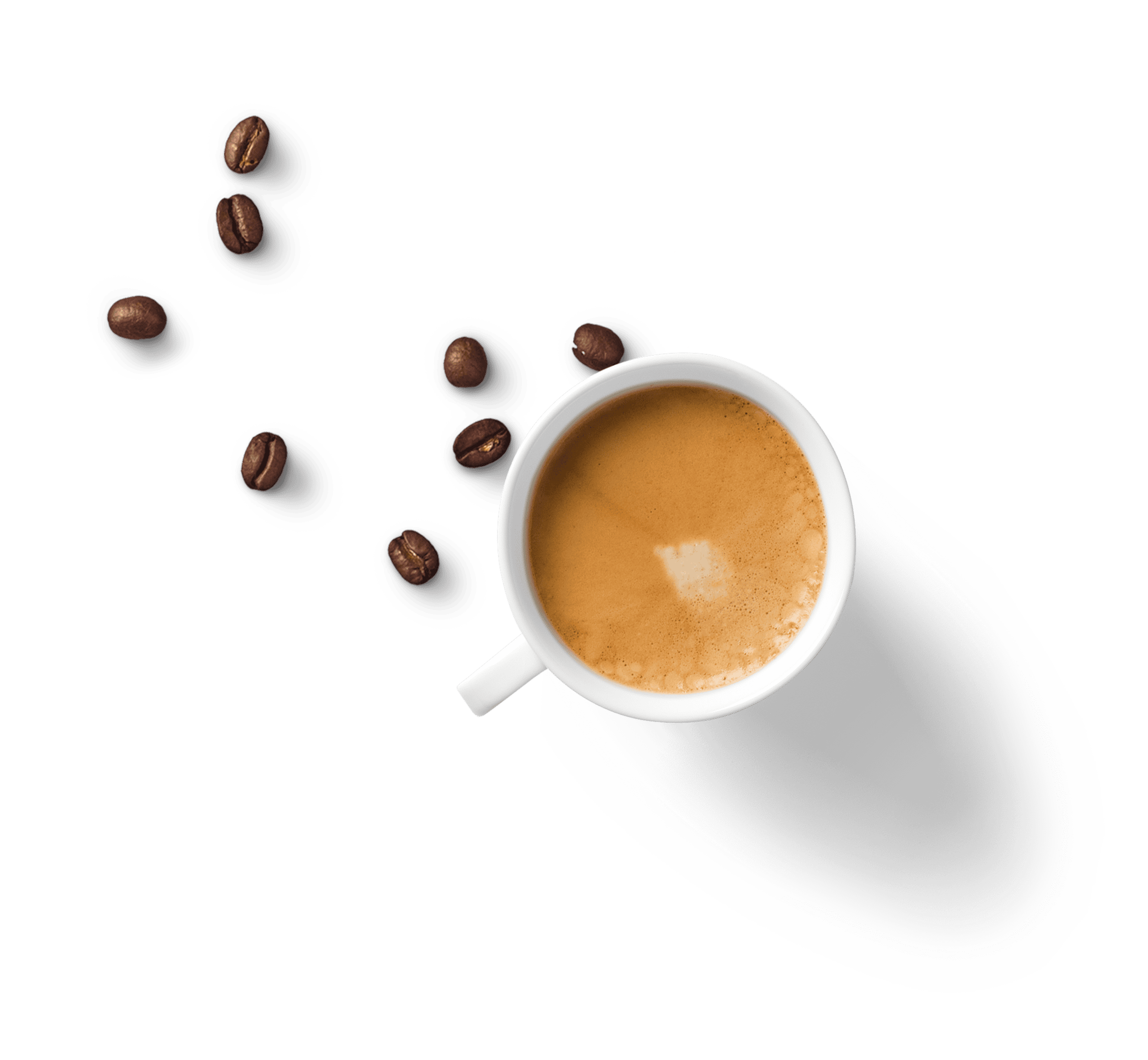 Schirmer Kaffee Tasse